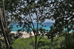 thumbnail: Beach