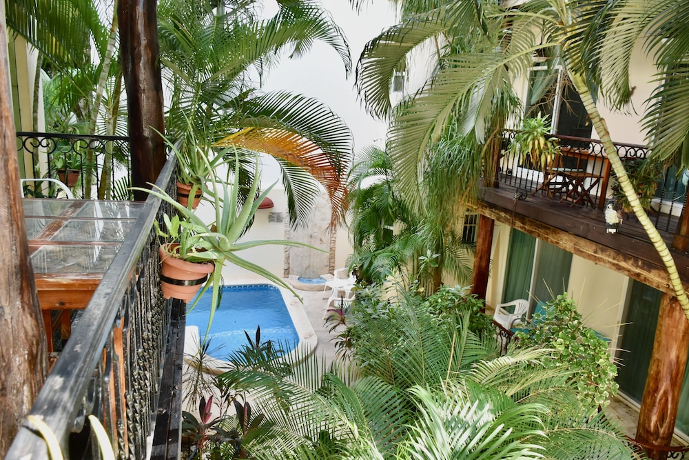 Garden view