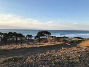 thumbnail: View from property