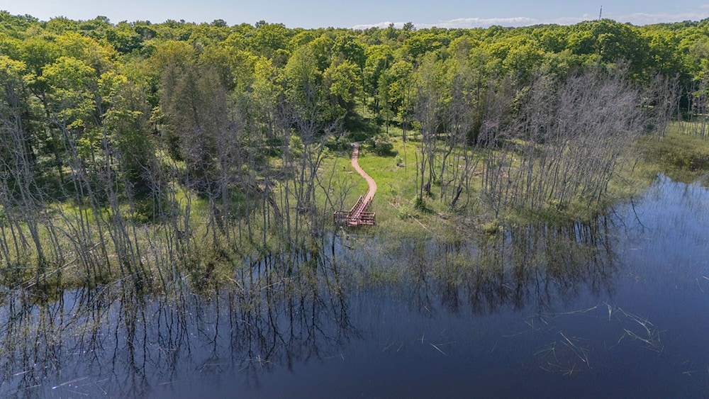 Lake