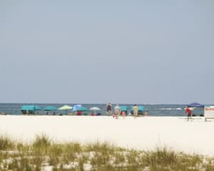 thumbnail: 0809O13L.jpg