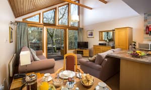 thumbnail: Living area