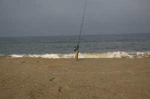 thumbnail: Beach