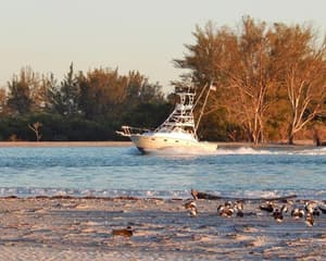thumbnail: 7836O17L.jpg