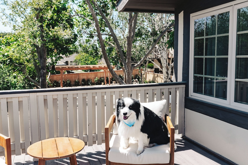 Pet-friendly