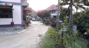 thumbnail: 77157968.jpg