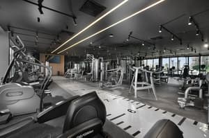 thumbnail: Gym