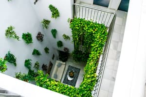 thumbnail: Terrace/patio