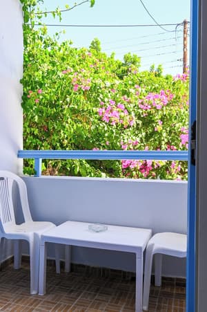 thumbnail: Garden view