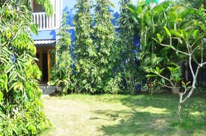 thumbnail: Garden