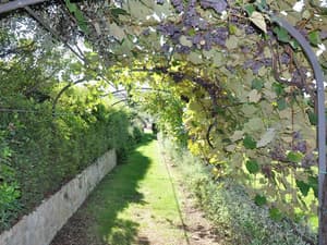 thumbnail: Garden