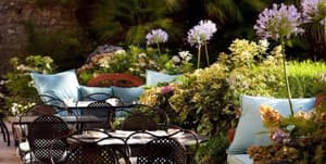 thumbnail: Outdoor dining