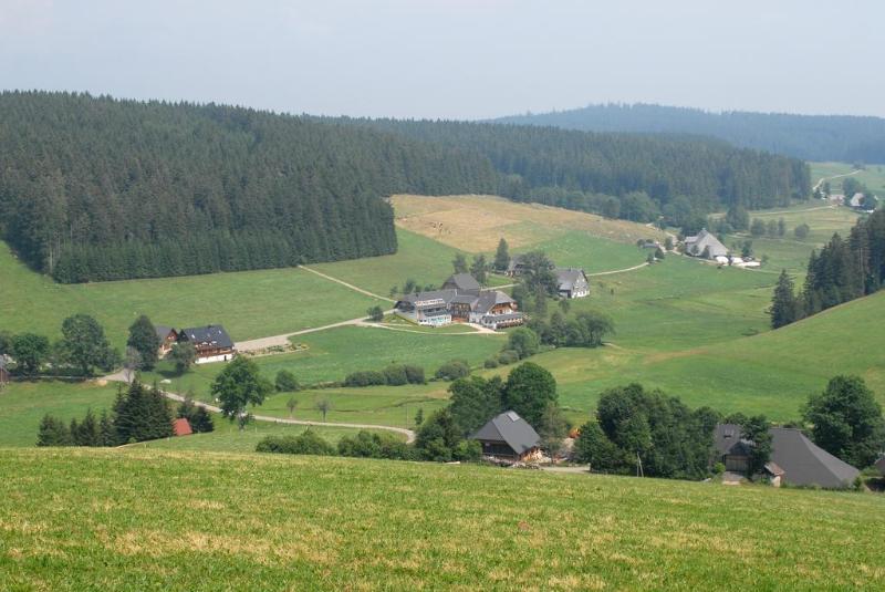 General view