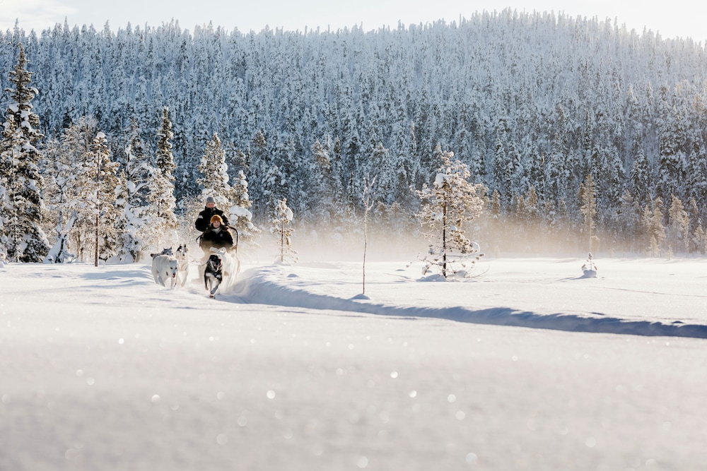 Sledding
