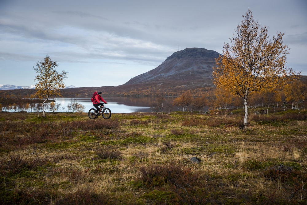 Bicycling