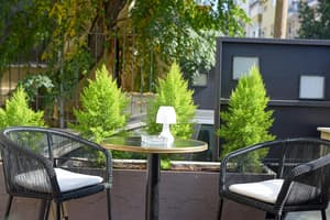 thumbnail: Terrace/patio