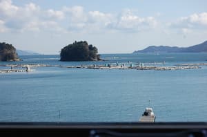 thumbnail: View from room
