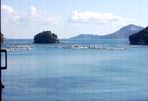 thumbnail: View from room