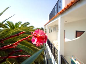 thumbnail: View from room