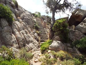thumbnail: Hiking