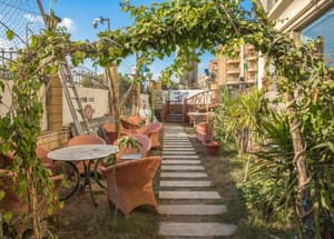 thumbnail: General view