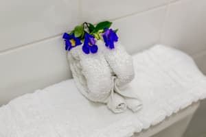 thumbnail: Bathroom amenities