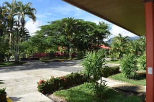 thumbnail: Garden view