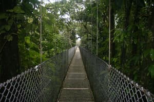 thumbnail: Point of interest