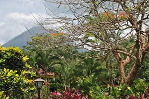 thumbnail: View from property