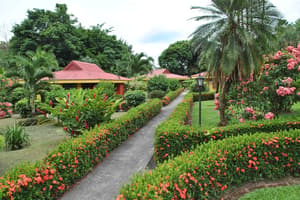 thumbnail: Garden
