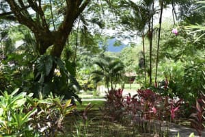 thumbnail: Garden