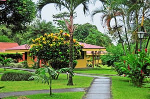 thumbnail: Garden