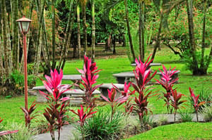 thumbnail: Garden
