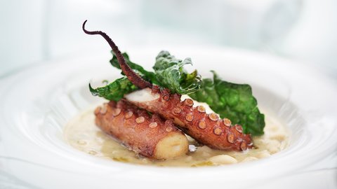 Octopus salad - Starter at Med Restaurant Bistrot