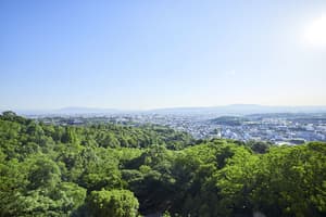 thumbnail: View from room
