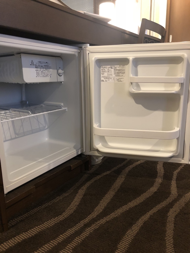 Mini-refrigerator