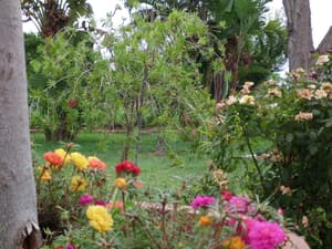 thumbnail: Garden