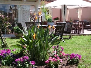thumbnail: Property grounds