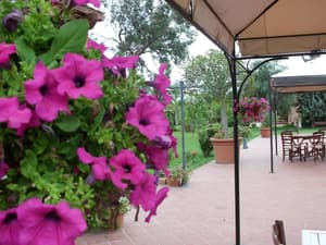 thumbnail: Property grounds