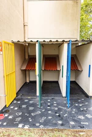 thumbnail: Pet-friendly amenities