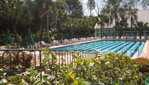 thumbnail: Pool