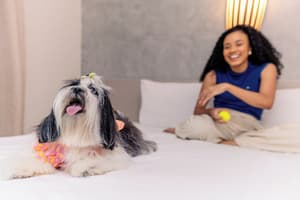 thumbnail: Pet-friendly amenities