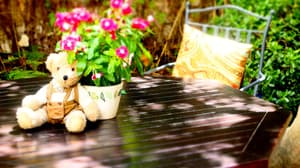 thumbnail: Garden