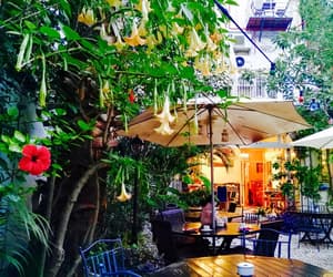 thumbnail: Garden