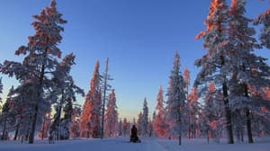 thumbnail: Snowmobiling