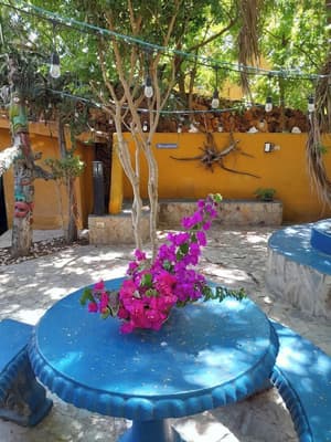 thumbnail: Terrace/patio