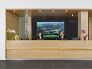 thumbnail: Reception