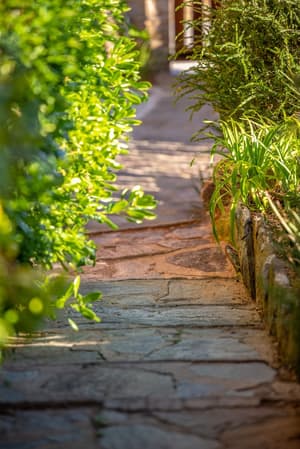 thumbnail: Garden