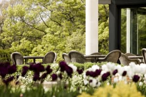 thumbnail: Terrace/patio