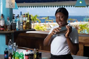 thumbnail: Bar (on property)